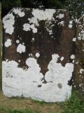 image of grave number 545346
